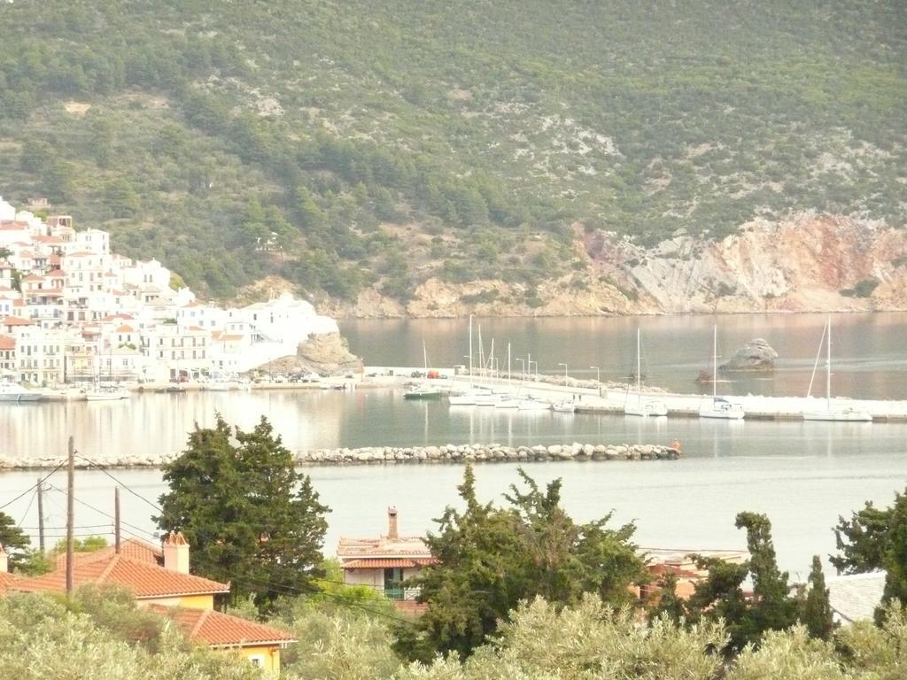 Filoxenia Apartment Skopelos Town Bagian luar foto